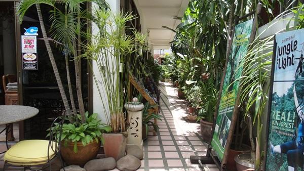 The Red Hibicus Guest House Chiang Mai Exterior foto